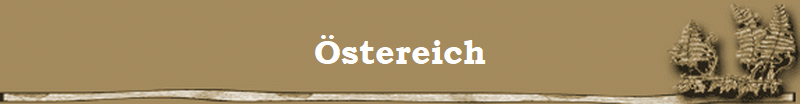 stereich