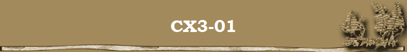 CX3-01