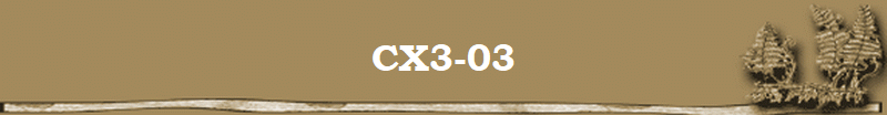 CX3-03
